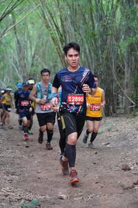 BIB: 2895, 2176, 7342
                            <button type="button" onclick="openModal(4125008)" class="btn btn-primary btn-sm float-right btn-popup" data-toggle="modal" data-target=".modal-high-quality">
                        <i class="fas fa-shopping-cart"></i> Add to Cart
                    </button>
                                            <button type="button" onclick="isThisMe(4125008, true)" class="btn btn-success btn-sm float-right btn-popup btn-isme hidden" data-toggle="tooltip" data-placement="bottom" title="นี่คือรูปของคุณใช่ไหม คลิกที่นี่เพื่อเอาเข้าอัลบั้ม">
                        <i class="fas fa-plus"></i> Add to album
                    </button>
                    <button type="button" onclick="isThisMe(4125008, false)" class="btn btn-warning btn-sm float-right btn-popup btn-isnotme hidden">
                        <i class="fas fa-ban"></i> Remove from album
                    </button>